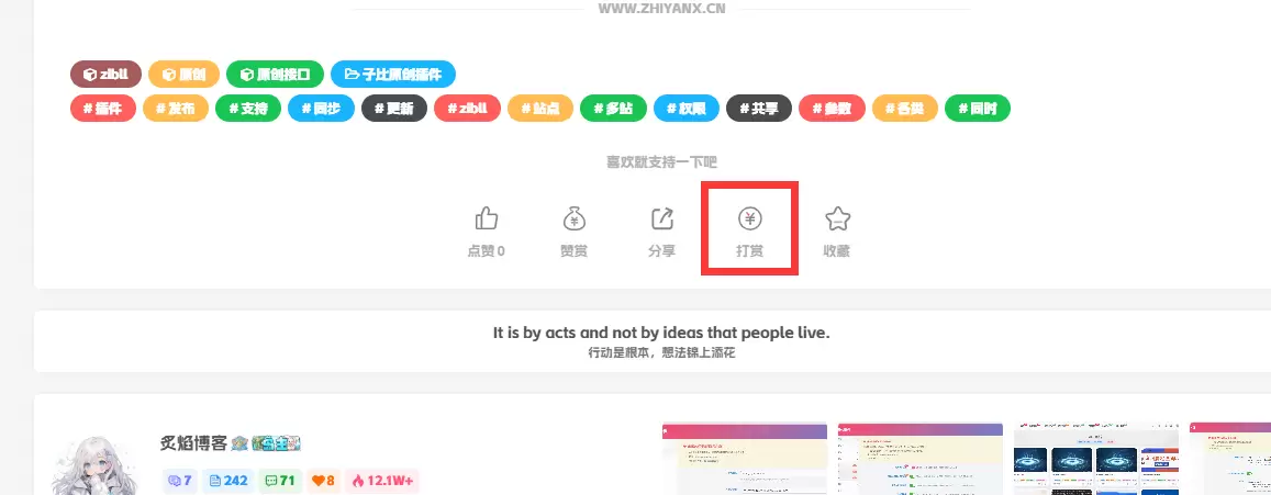 Zibll【打赏插件】-文章/网站打赏【原创】
